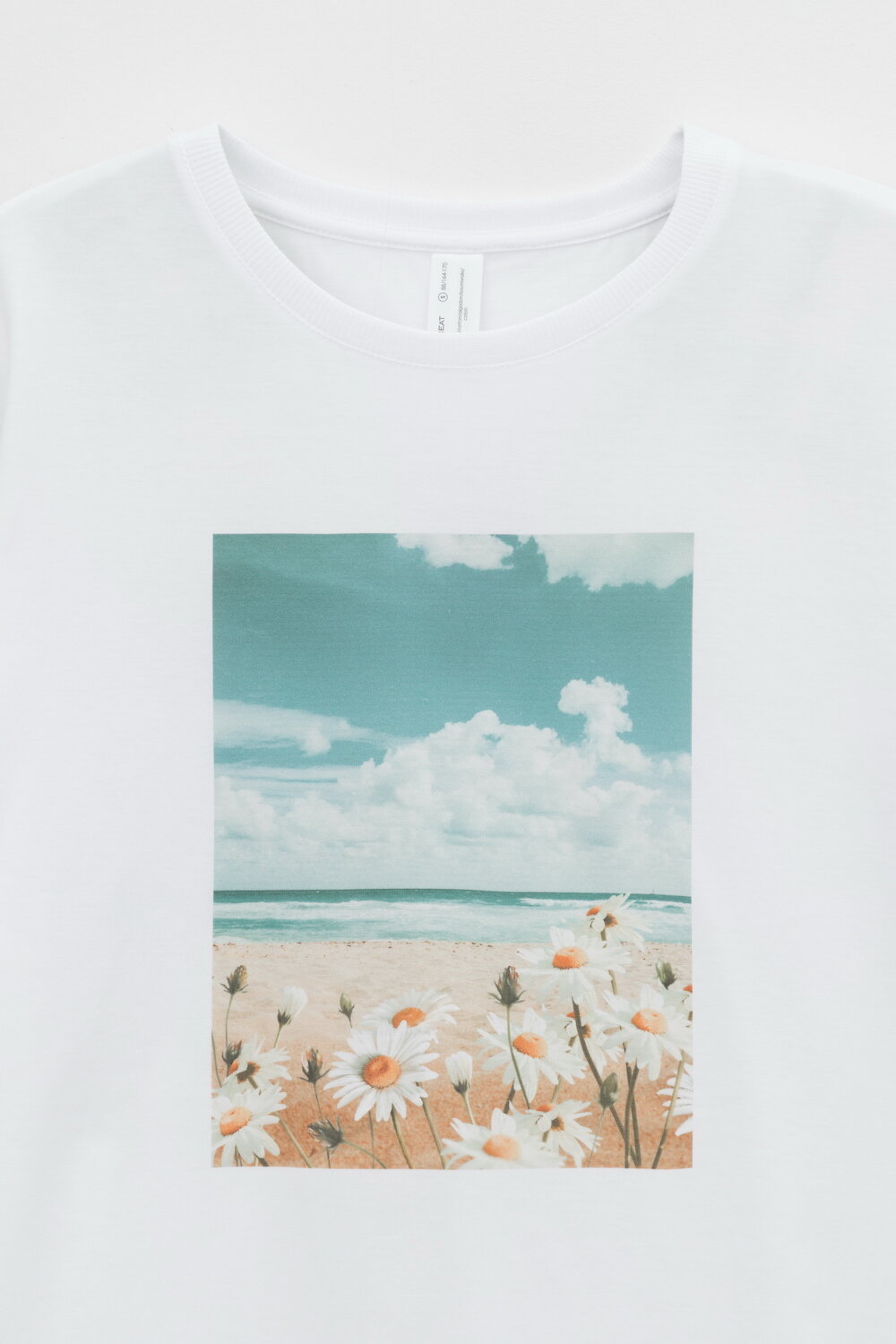 Фуфайка Е 30088/392354 Trikozza купить по оптовым и розничным ценам