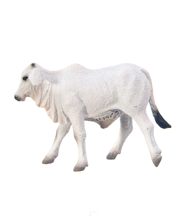 Теленок Брахмана, S 88581b Collecta купить по оптовым и розничным ценам