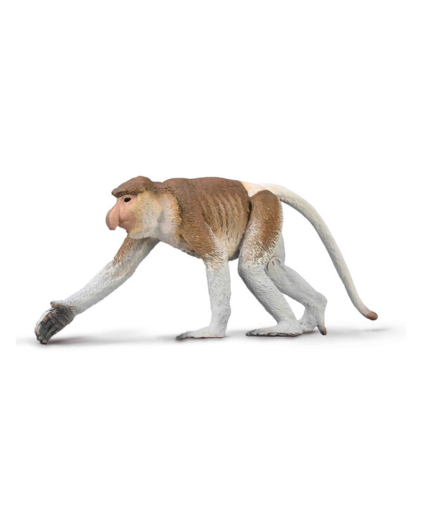 Обезьяна носач, L 80014b