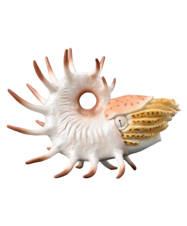 Динозавр Купероцерас, XL 88946b