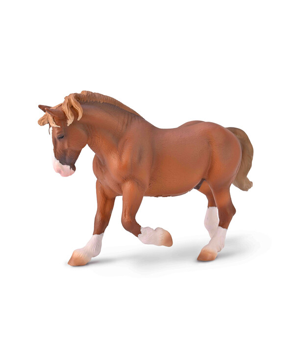 Лошадь жеребец бретонской верховой лошади, XL 80008b