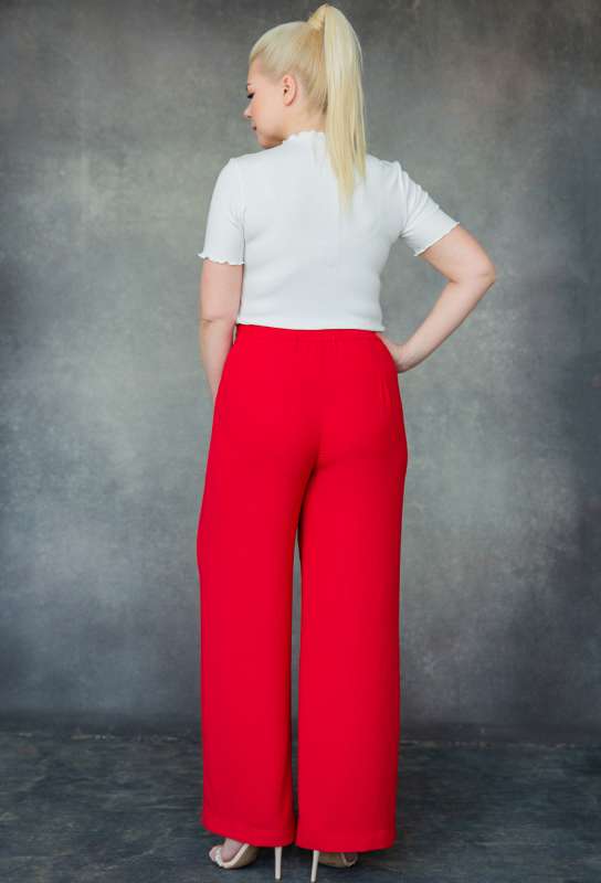 Брюки ASV 2413 красный ASV купить по оптовым и розничным ценам