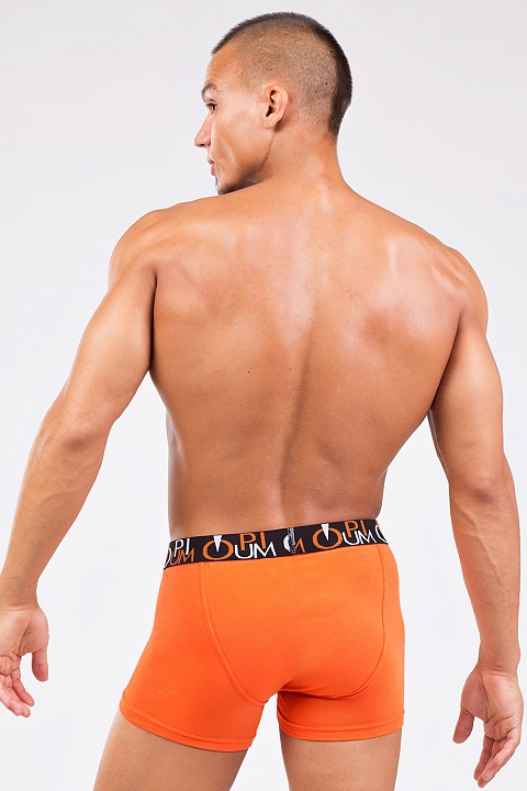 Мужские трусы R-118 Оранжевый OPIUM купить по оптовым и розничным ценам