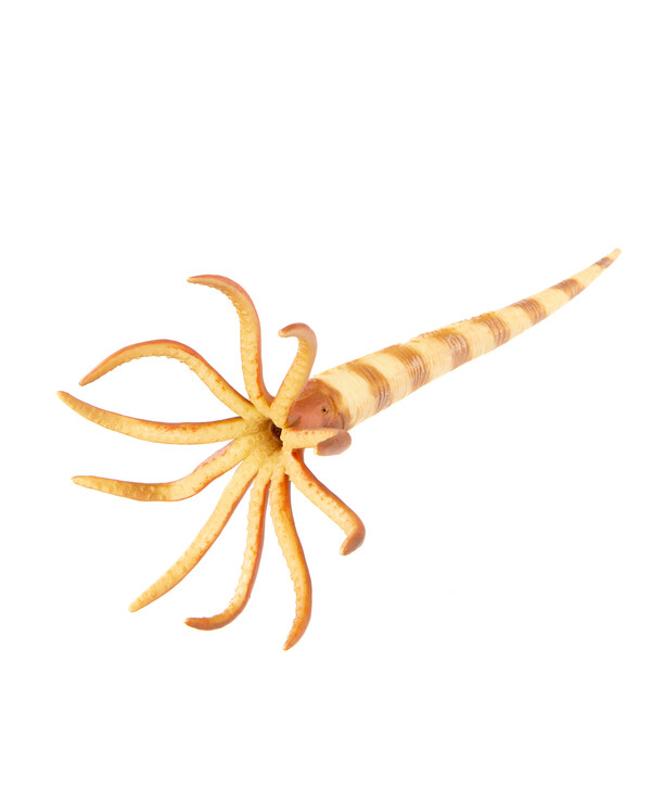 Динозавр Ортоцерас, L 88903b Collecta купить по оптовым и розничным ценам