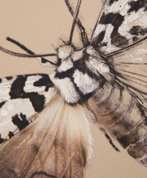 Футболка 125FGAC1201 Gulliver купить по оптовым и розничным ценам