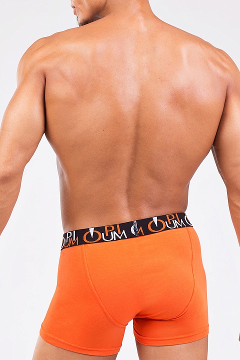 Мужские трусы R-118 Оранжевый OPIUM купить по оптовым и розничным ценам