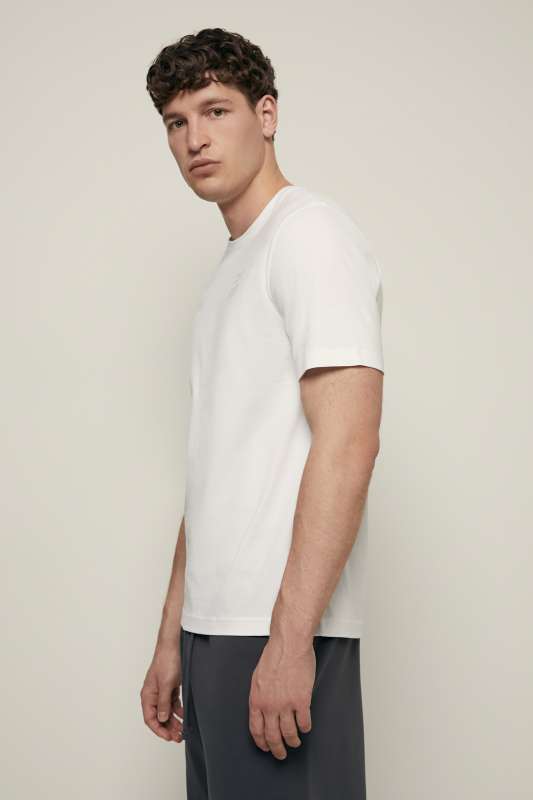 Футболка мужская FSF22005 Finn Flare купить по оптовым и розничным ценам