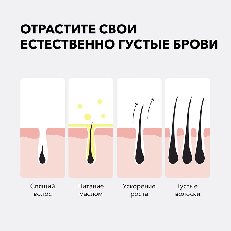 Масло для бровей / ShikOil for eyebrows 5 мл SHIK купить по оптовым и розничным ценам