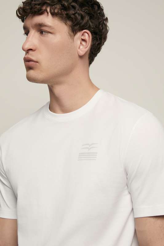 Футболка мужская FSF22005 Finn Flare купить по оптовым и розничным ценам