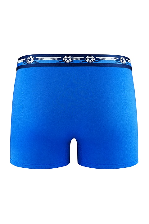 Мужские трусы BB33 Голубой Uniconf купить по оптовым и розничным ценам