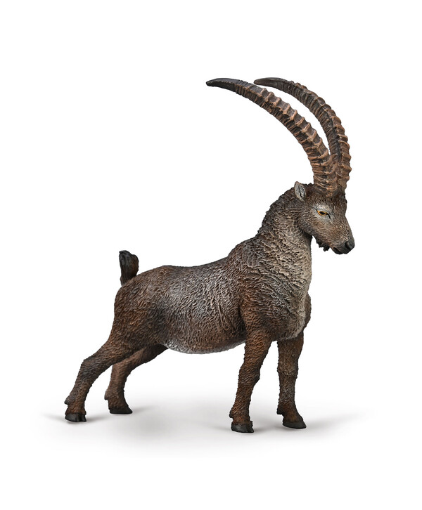 Альпийский горный козёл, L 80020b