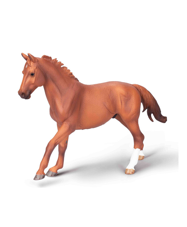 Лошадь жеребец породистый каштановый Фар Лап, XL 80017b