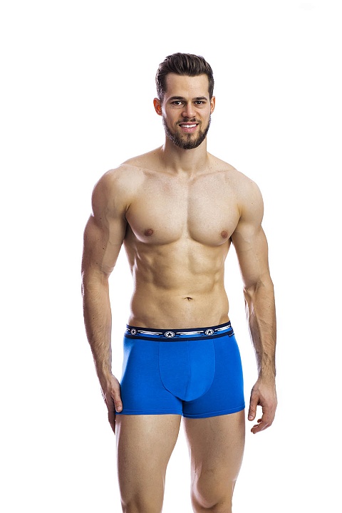 Мужские трусы BB33 Голубой Uniconf купить по оптовым и розничным ценам