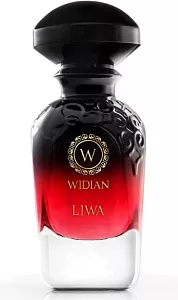 AJ ARABIA WIDIAN LIWA 50ml parfume TESTER AJ ARABIA купить по оптовым и розничным ценам