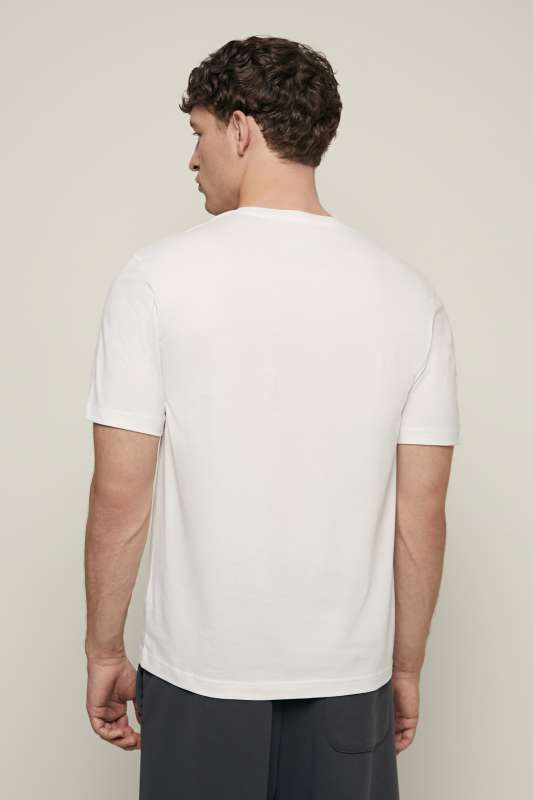 Футболка мужская FSF22005 Finn Flare купить по оптовым и розничным ценам