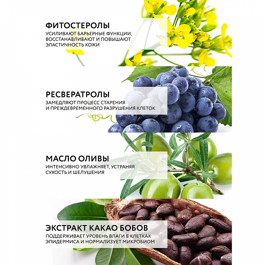 Крем детокс и лифтинг для тела с фитостеролами и ресвератролом / Dr.Sea 200 мл DR.SEA купить по оптовым и розничным ценам