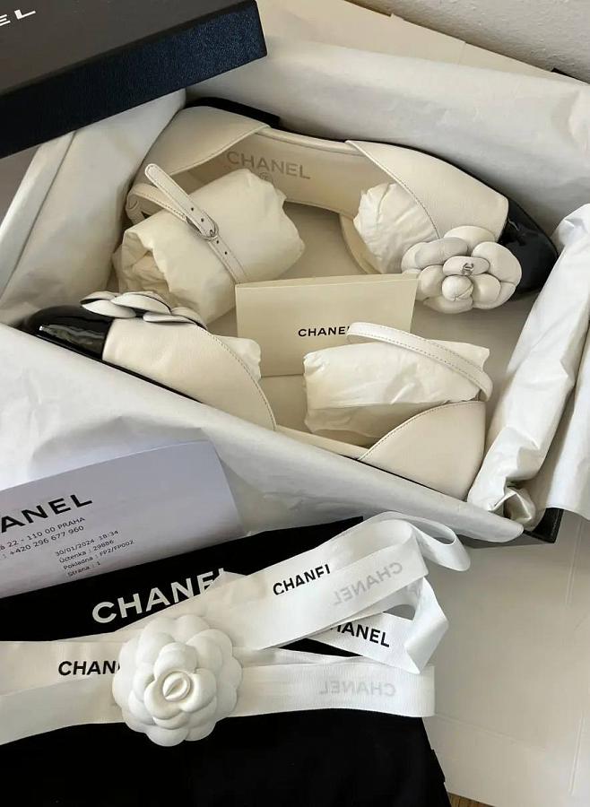 Туфли балетки CHANEL PREM-002 Без бренда купить по оптовым и розничным ценам